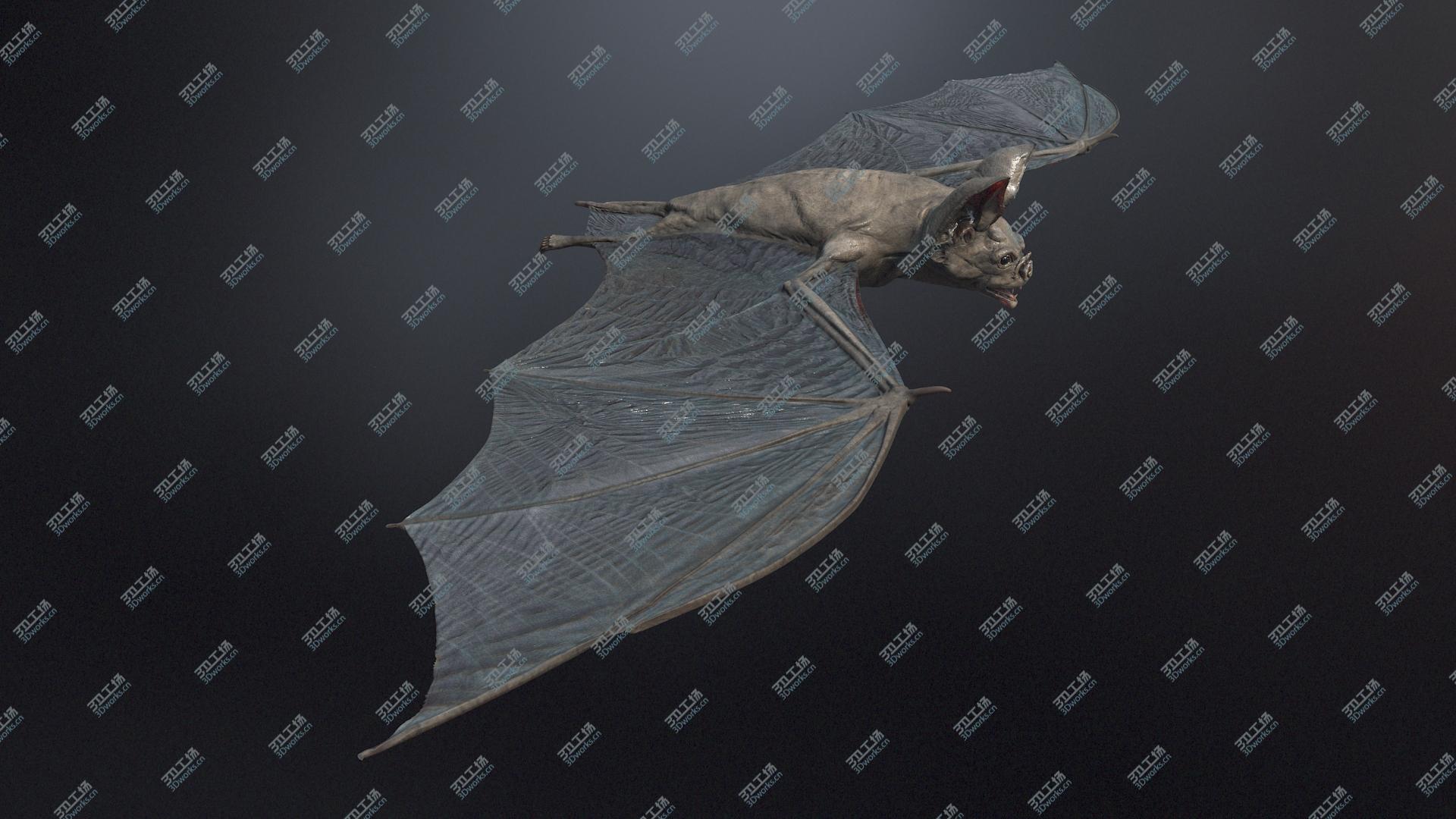 images/goods_img/2021040232/Vampire Bat/1.jpg